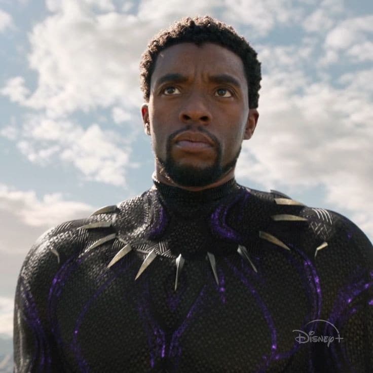 Muere Chadwick Boseman protagonista de Black Panther.