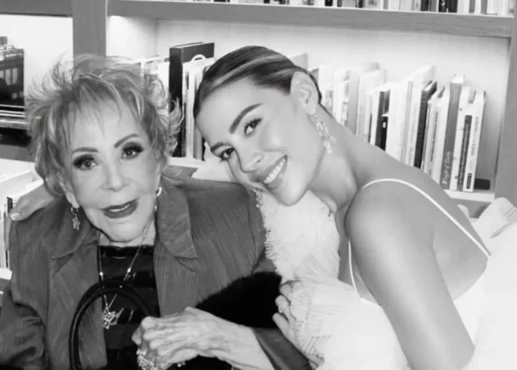 Michelle Salas sería la heredera mayoritaria de la fortuna de Silvia Pinal