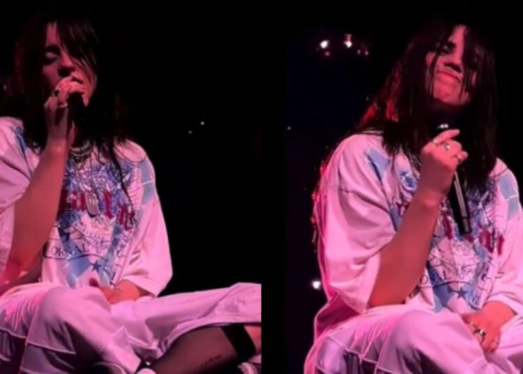 Golpean a Billie Eilish al arrojarle un objeto en pleno show